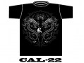 CAL-22