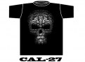 CAL-27