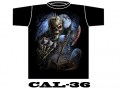 CAL-36