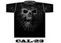 CAL-23