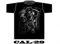 CAL-29